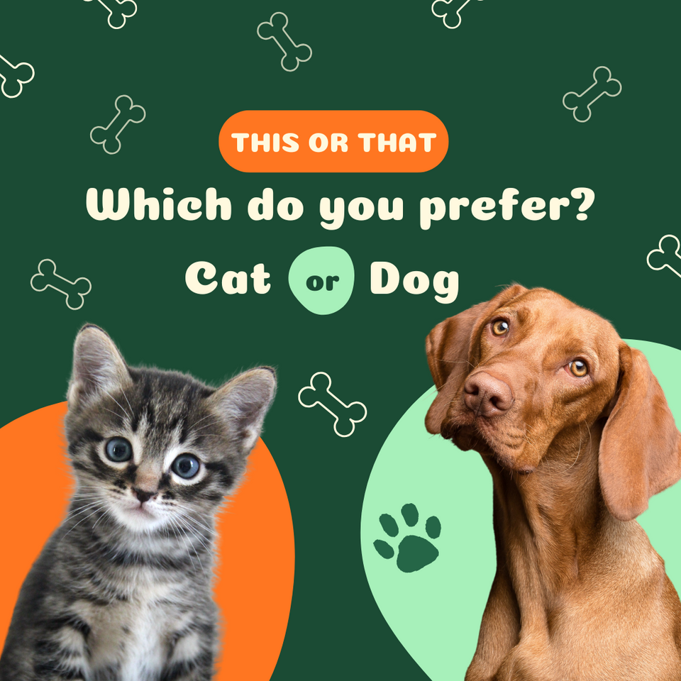 Dogs vs. Cats: Which Do Americans Love More?
