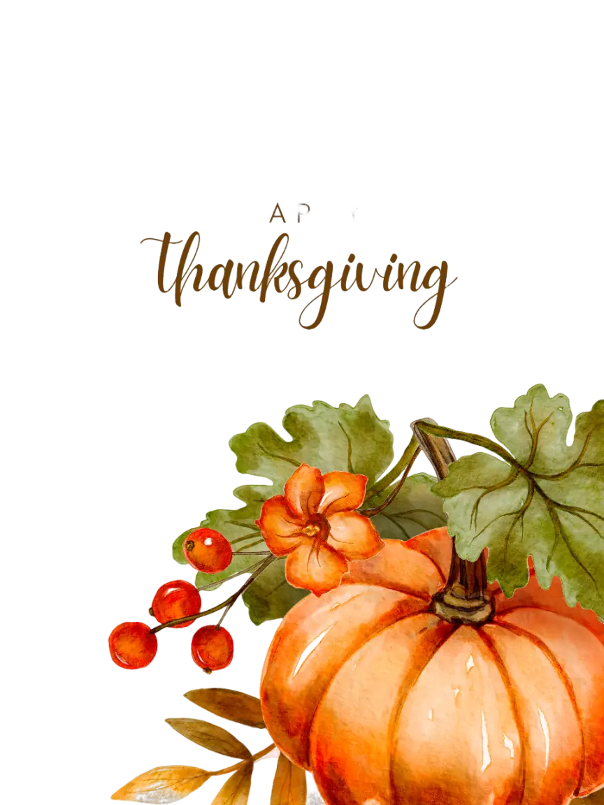 Pumpkin Thanksgiving Hoodie Sweatshirt Perfect Fall Holiday Wear for Warmth and Style